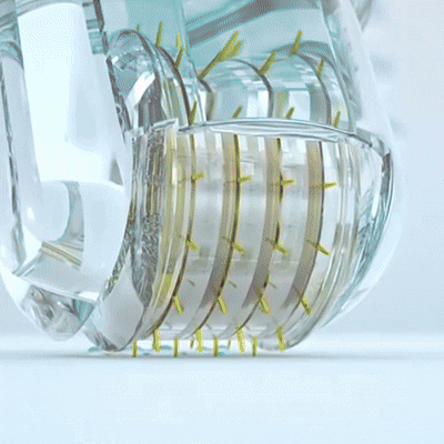 LuxeGlow™ Micro-Infusion System + Ebook Included